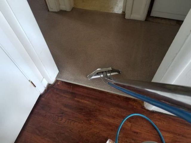 Home Carpet Cleaning